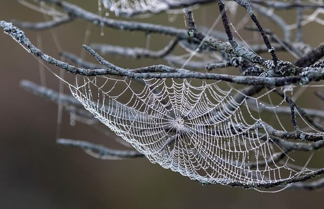 Les critères incontournables pour choisir un logiciel efficace