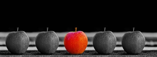 Comment créer un tableau comparatif pour sélectionner un logiciel